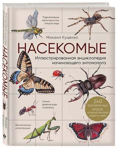 Насекомые. Иллюстрированная энциклопедия начинающего энтомолога - фото 3