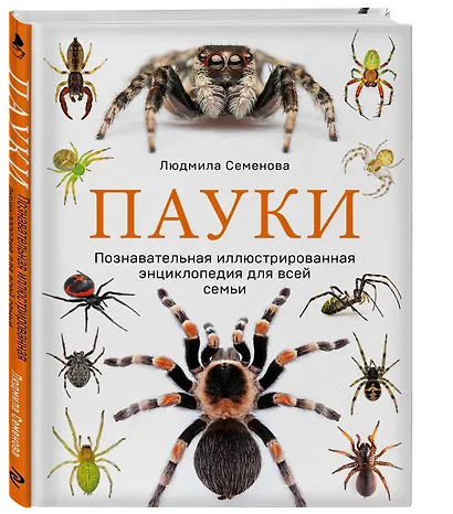 Пауки: познавательная иллюстрированная энциклопедия для всей семьи - фото 3