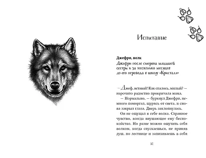 Дети леса. Двенадцать секретов (#8) - фото 11