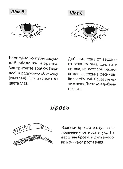 Скетчбук А5 Уроки рисования по шагам. Анатомия человека - фото 3