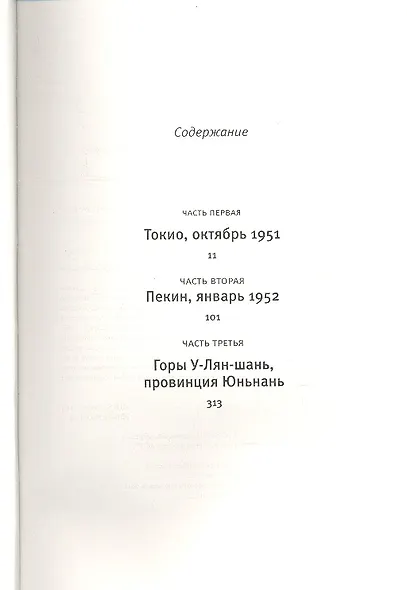 Сатори: роман - фото 2