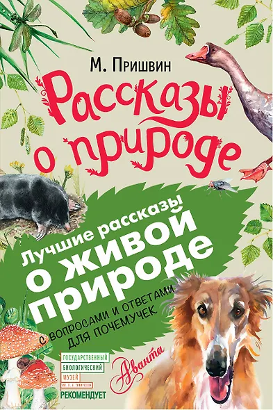 Рассказы о природе - фото 1