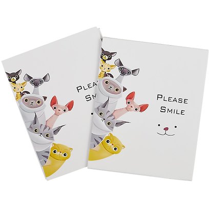 Фотоальбом на 200 фото Котики Please smile (10х15) (коробка) (12-07207-902) - фото 2