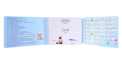 Тренажер - перевертыш. Мои первые английские слова - фото 11