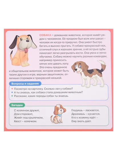 Развивающие карточки для детей. Домашние животные (20 карточек) - фото 3