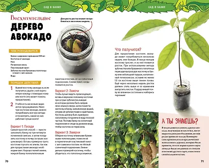 Книга опытов для детей. Волшебство в стеклянной банке - фото 13