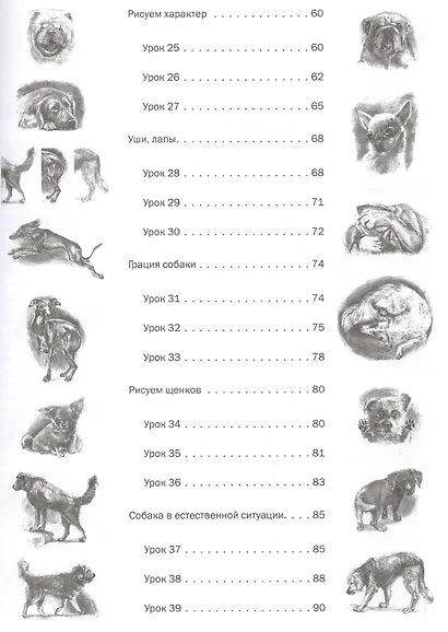 Пошаговые уроки рисования. Рисуем кошек и собак - фото 4