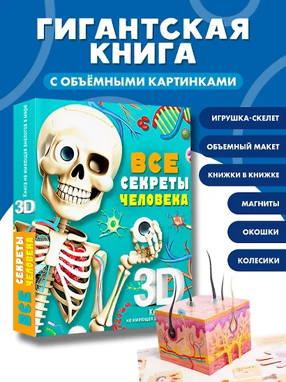Все секреты человека - фото 4