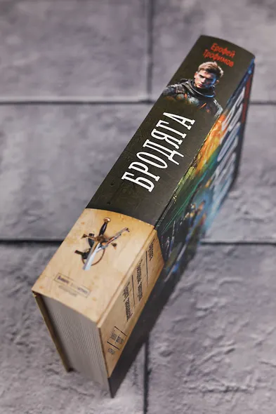 Бродяга (сборник) - фото 6