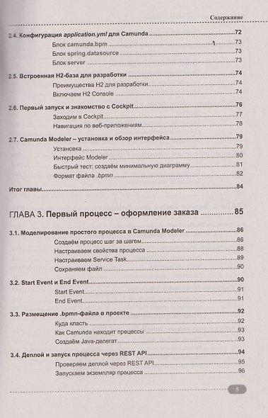 Spring, Spring Boot и Camunda в одном стеке: разработка, тестирование и деплой приложений + виртуальный диск с приложением, кодом и примерами - фото 5
