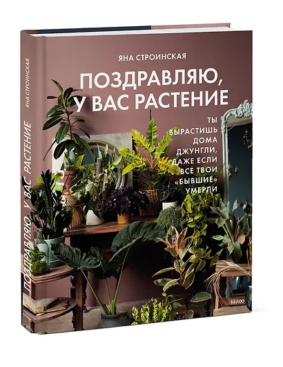 Поздравляю, у вас растение. Ты вырастишь дома джунгли, даже если все твои «бывшие» умерли - фото 3