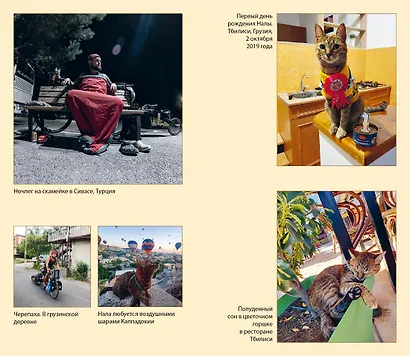 Мир Налы - фото 6