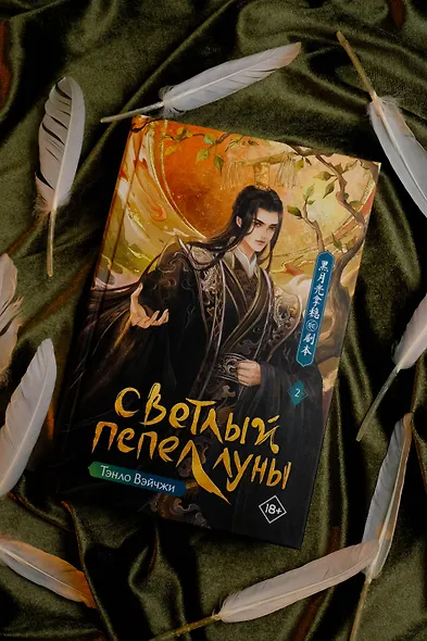 Светлый пепел луны. Книга 2. Новелла - фото 6