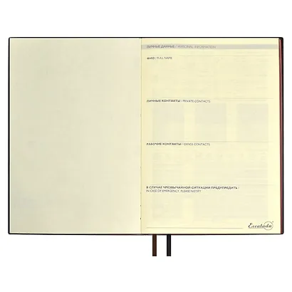 Ежедневник недат. А5+ 160л 175x245 "Шеврет" коричневый - фото 4