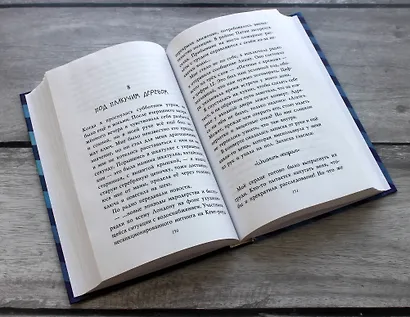 Секретный ключ - фото 5