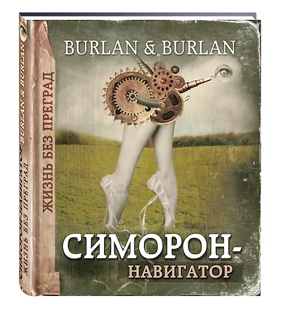 Симорон-навигатор, или Жизнь без преград - фото 3