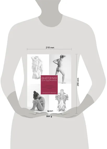 Анатомия для художника. Самое полное пособие по изображению человека - фото 4