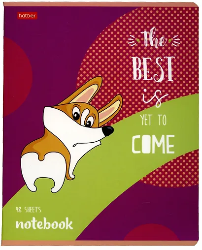 Тетрадь в клетку Hatber, "Рыжий Коржик", 48 листов, в ассортименте - фото 4