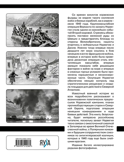 Норвежская кампания 1940 г. Операция «Везерюбунг» - фото 2