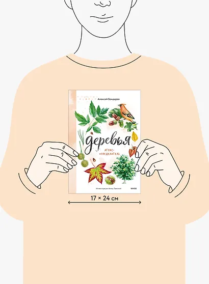 Деревья. Атлас-определитель - фото 8