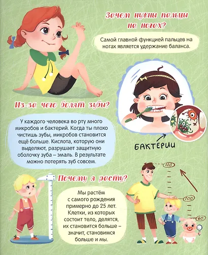 ТЕЛО ЧЕЛОВЕКА матов.ламин, выбор.лак, 200х240 - фото 4