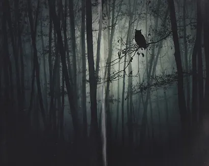 Тень под куполом - фото 3