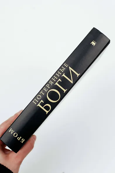 Потерянные боги: фантастический роман - фото 7