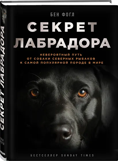 Секрет лабрадора. Невероятный путь от собаки северных рыбаков к самой популярной породе в мире - фото 3