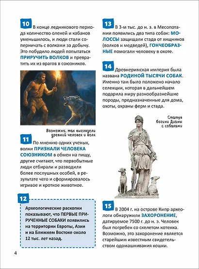 Кошки и собаки. Энциклопедия российского школьника - фото 2