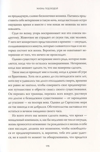 Сага об угре. О связи поколений, любви и дороге домой - фото 5