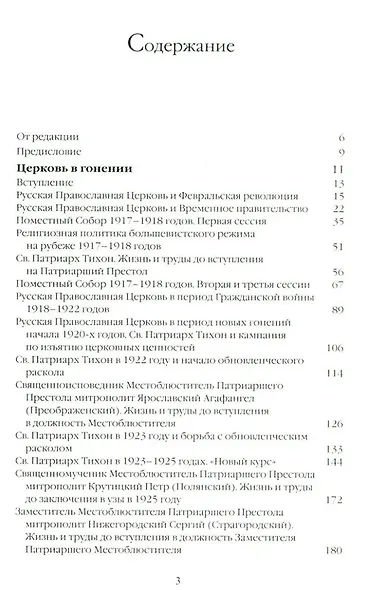 О Церкви и России. Проповеди, интервью, размышления - фото 2