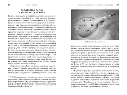 Жизнь проста. Как бритва Оккама освободила науку и стала ключом к познанию тайн Вселенной - фото 5