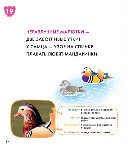 Птицы - фото 12