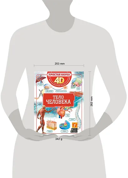 Тело человека - фото 9