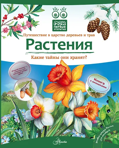 Кн.с Окошками.МПО.Растения - фото 1