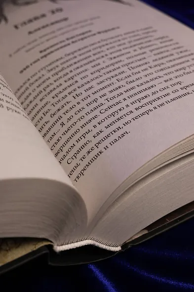 Сожженные земли. Павший - фото 13