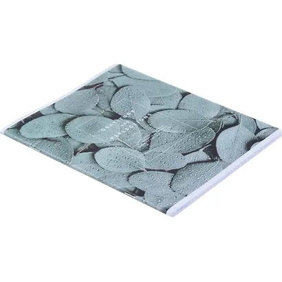 Тетрадь в клетку Be Smart, "Botanica. Эвкалипт", 48 листов - фото 2