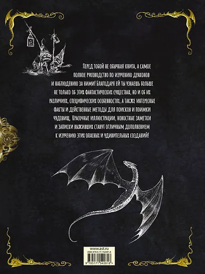 Секретное руководство охотников на драконов - фото 2
