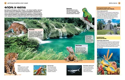Атлас мира для школьников - фото 5