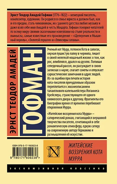 Житейские воззрения кота Мурра - фото 2