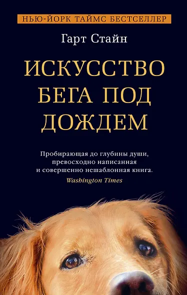 Искусство бега под дождем - фото 1