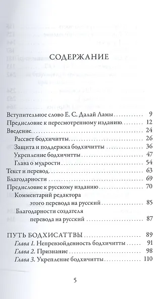 Бодхичарьяватара. Путь бодхисаттвы - фото 2