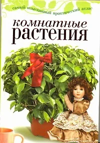 Комнатные растения - фото 1