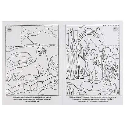 Раскраска. 16 цветных наклеек. Наклей и раскрась. Дикие животные - фото 3