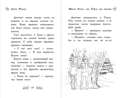 Щенок Холли, или Туфли для ведьмы - фото 5