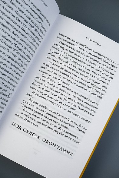 Колокольчики Достоевского. Записки сумасшедшего литературоведа - фото 9