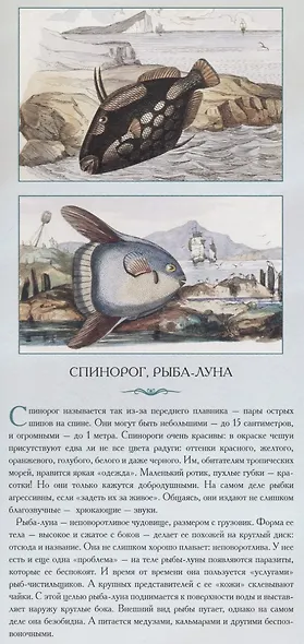 Животные нашей планеты «Обитатели водоемов. Рассказы тех, кто молчит» - фото 3