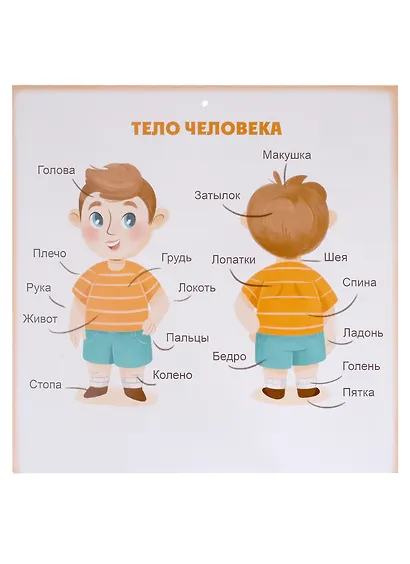 Подготовка к школе. Комплект обучающих плакатов - фото 4