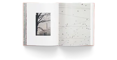 – А Катя выйдет? Книга о Москве - фото 5