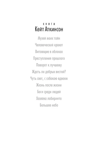 Большое небо - фото 4